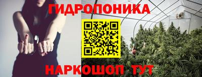 jwh Моздок